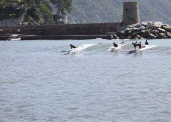 IMG_0864-dimensioni-grandi