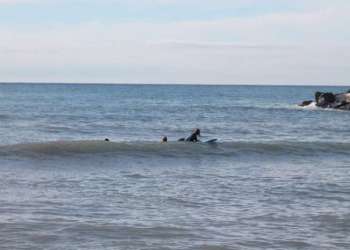 IMG_2069-dimensioni-grandi