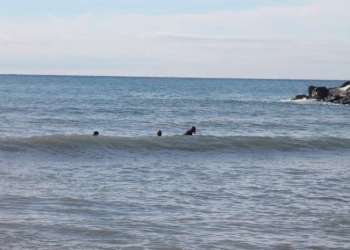 IMG_2070-dimensioni-grandi