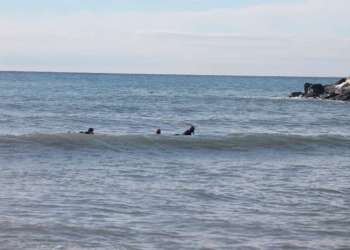 IMG_2071-dimensioni-grandi