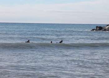 IMG_2072-dimensioni-grandi