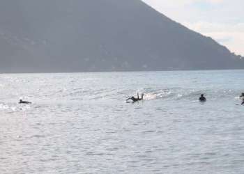 IMG_2117-dimensioni-grandi