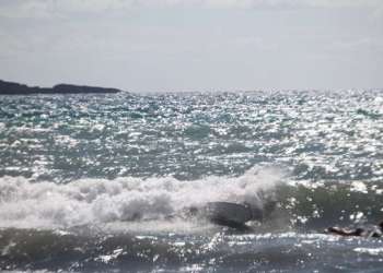 IMG_1201-dimensioni-grandi