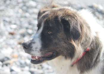 IMG_1420-dimensioni-grandi