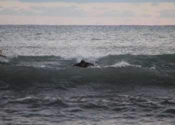 IMG_1504-dimensioni-grandi