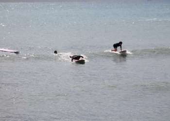 IMG_1539-dimensioni-grandi