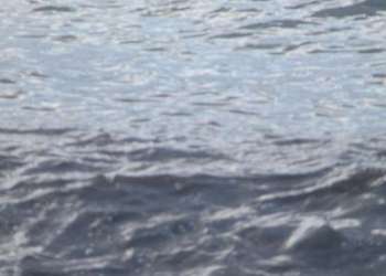 IMG_1572-dimensioni-grandi