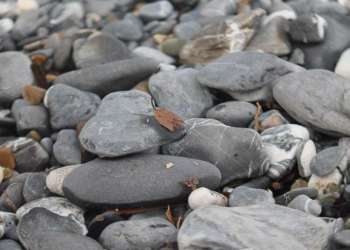 IMG_1640-dimensioni-grandi