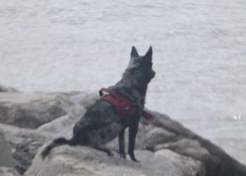 IMG_1655-dimensioni-grandi