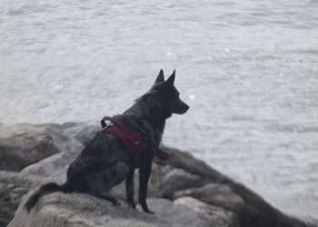 IMG_1656-dimensioni-grandi