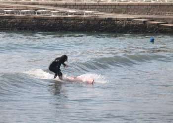 IMG_1685-dimensioni-grandi