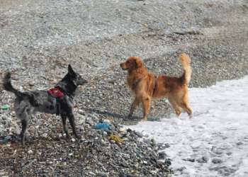 IMG_1691-dimensioni-grandi