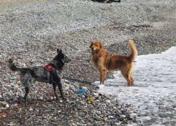 IMG_1692-dimensioni-grandi