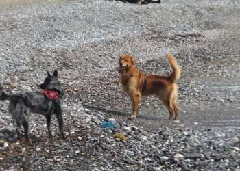 IMG_1693-dimensioni-grandi