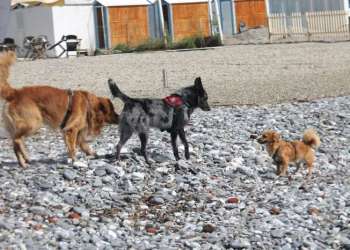 IMG_1696-dimensioni-grandi