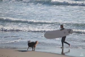 Trasferta 10.01.2026